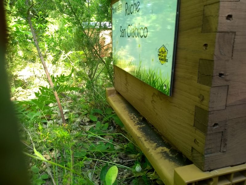 La ruche San Giabico