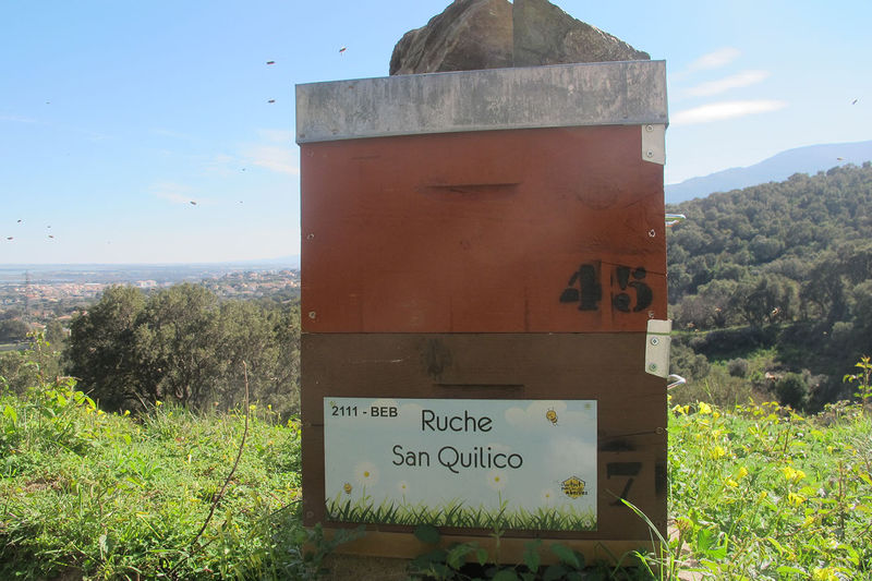 La ruche San Quilico