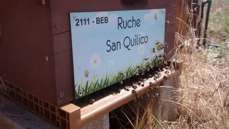 La ruche San Quilico