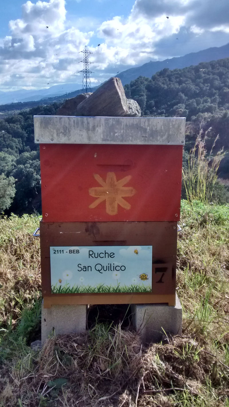 La ruche San Quilico