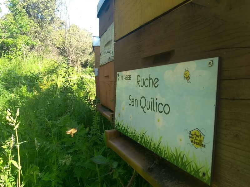 La ruche San Quilico