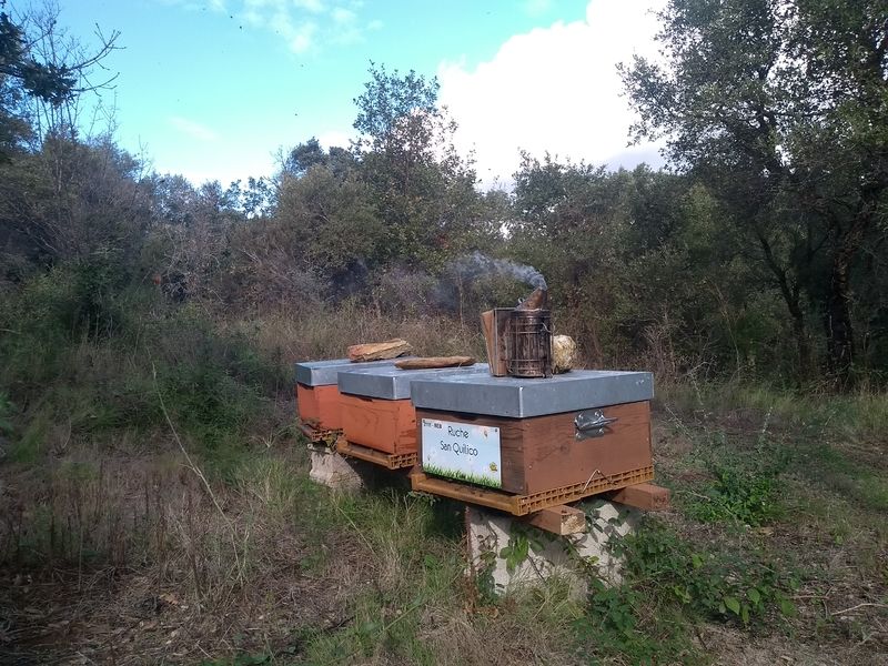 La ruche San Quilico