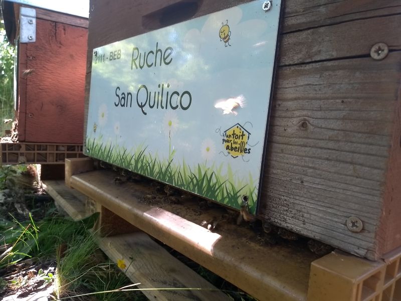 La ruche San Quilico
