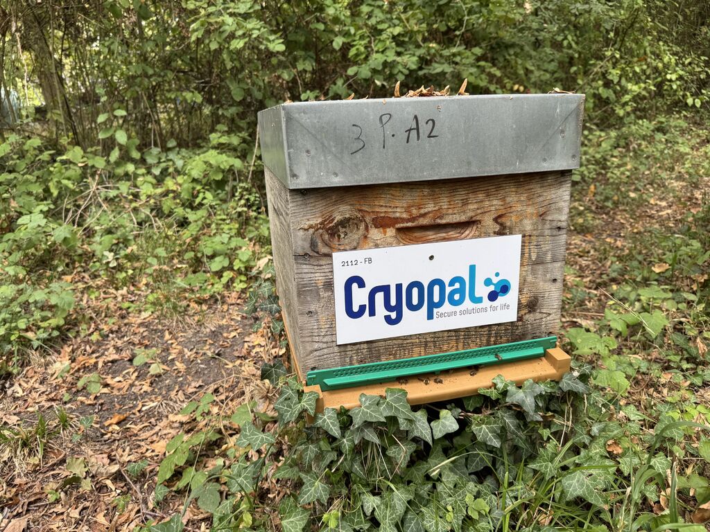 La ruche CE CRYOPAL