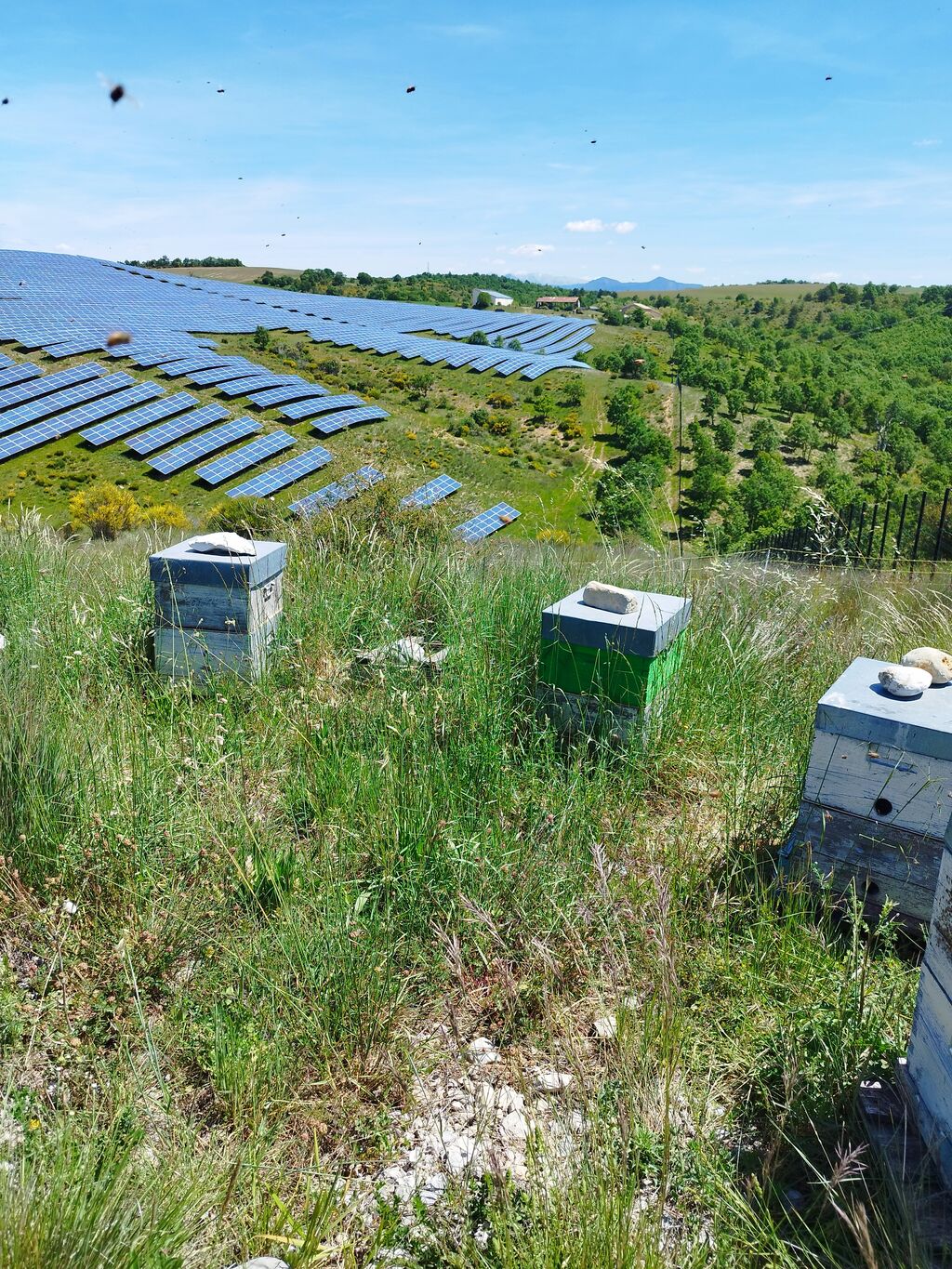 La ruche SONNEDIX HELIUM INSTALLATIONS SOLAIRE DE L