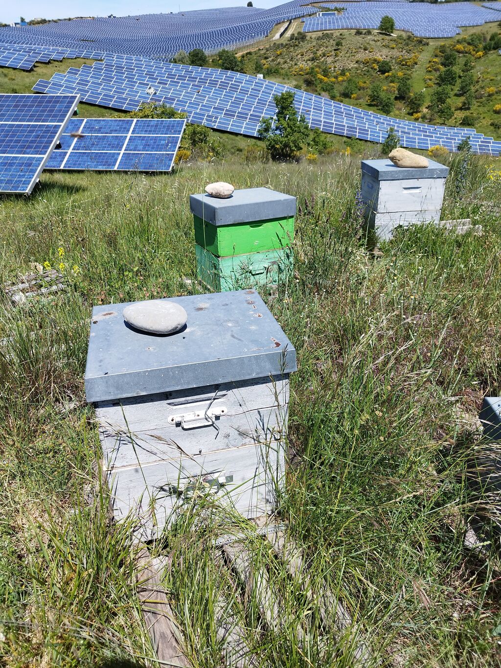 La ruche SONNEDIX HELIUM INSTALLATIONS SOLAIRE DE L