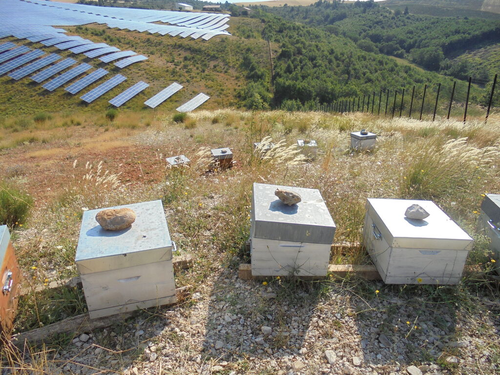 La ruche SONNEDIX HELIUM INSTALLATIONS SOLAIRE DE L
