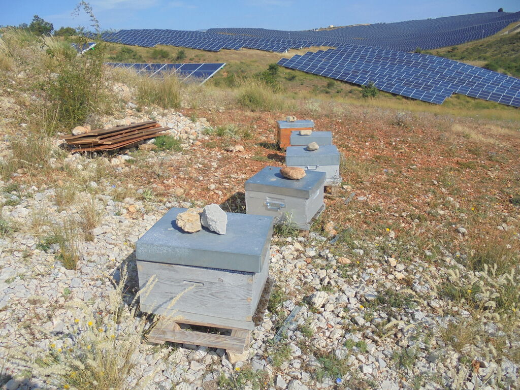 La ruche SONNEDIX HELIUM INSTALLATIONS SOLAIRE DE L