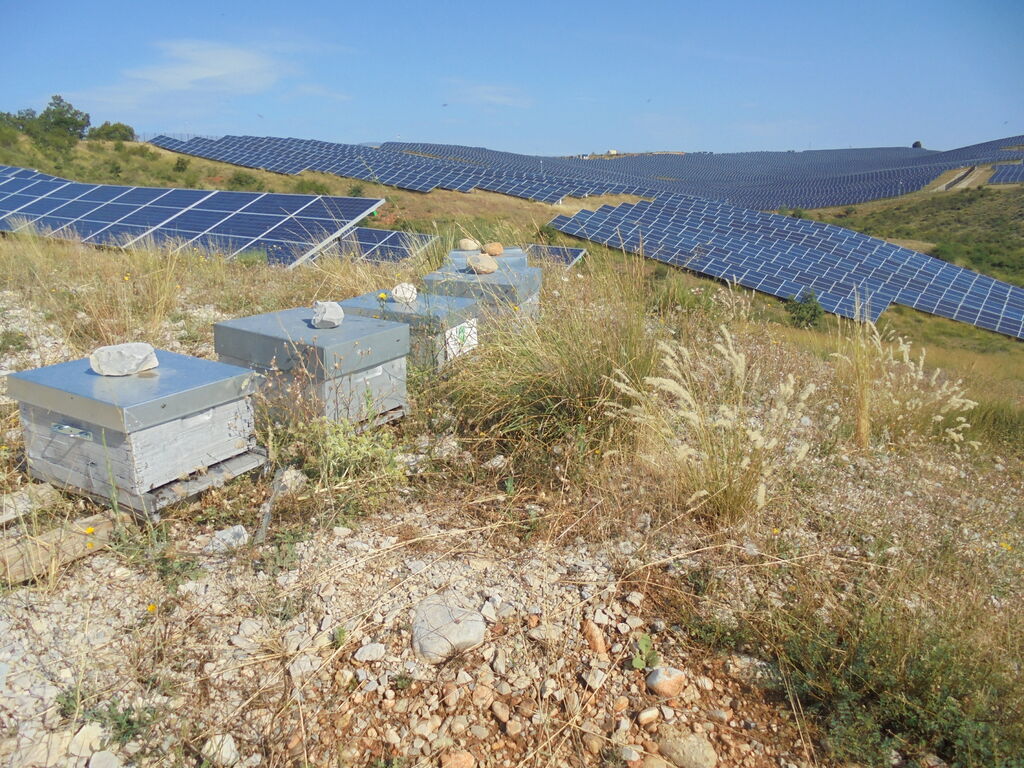 La ruche SONNEDIX HELIUM INSTALLATIONS SOLAIRE DE L