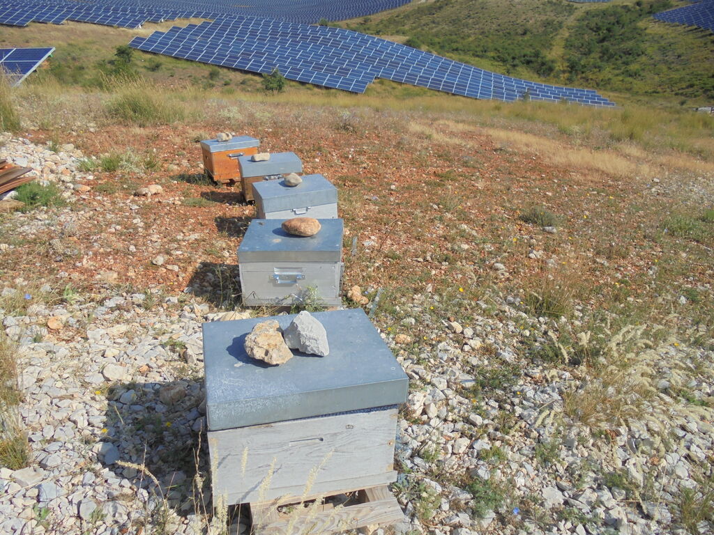 La ruche SONNEDIX HELIUM INSTALLATIONS SOLAIRE DE L