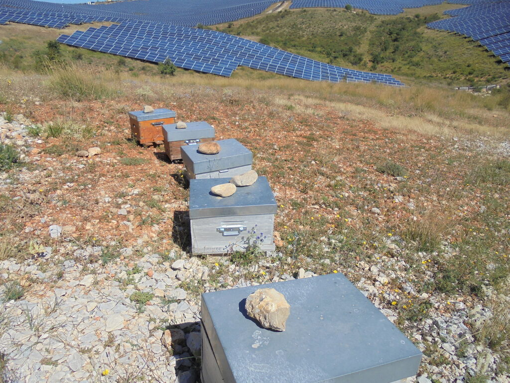 La ruche SONNEDIX HELIUM INSTALLATIONS SOLAIRE DE L