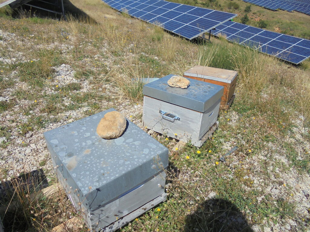 La ruche SONNEDIX HELIUM INSTALLATIONS SOLAIRE DE L
