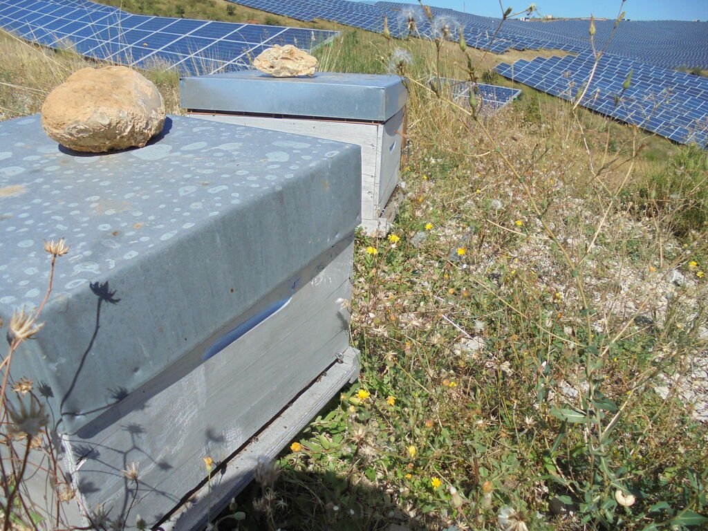 La ruche SONNEDIX HELIUM INSTALLATIONS SOLAIRE DE L