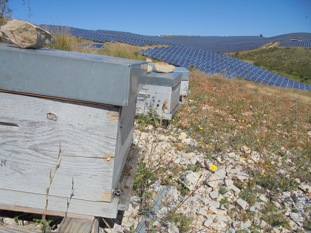 La ruche SONNEDIX HELIUM INSTALLATIONS SOLAIRE DE L