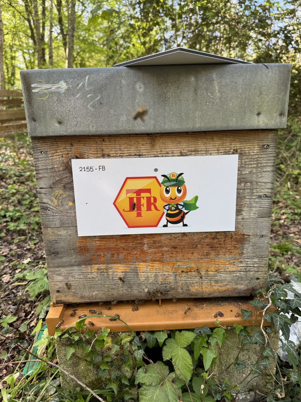 La ruche TRAVAUX JEAN-FRANCOIS ROUCHET