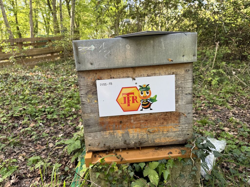 La ruche TRAVAUX JEAN-FRANCOIS ROUCHET