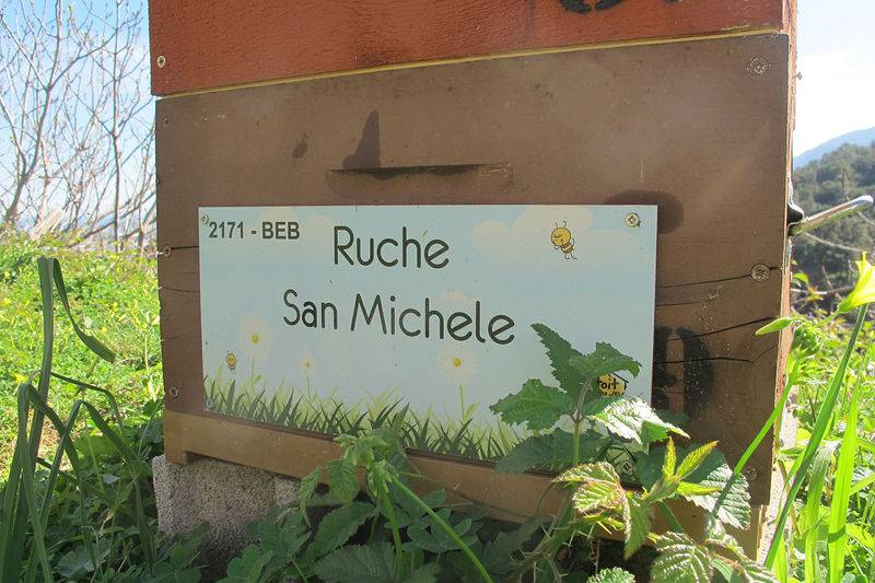 La ruche San Michele