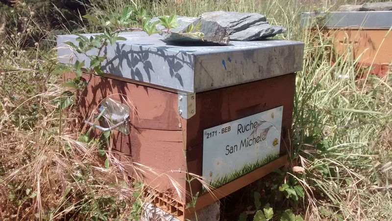 La ruche San Michele