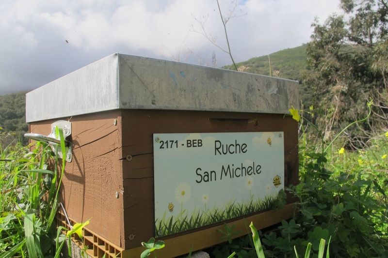 La ruche San Michele