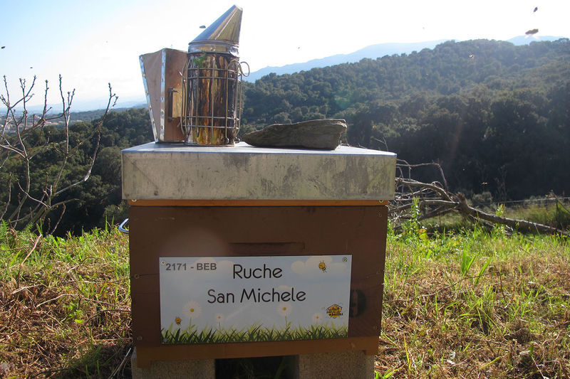 La ruche San Michele