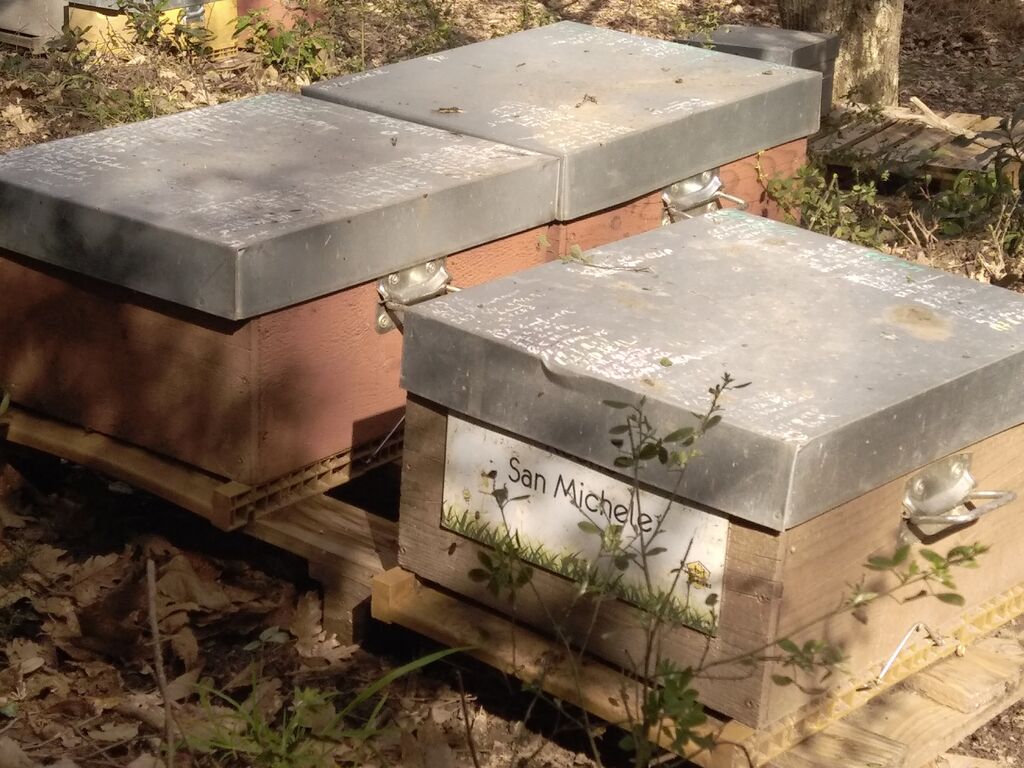 La ruche San Michele