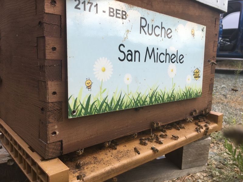 La ruche San Michele