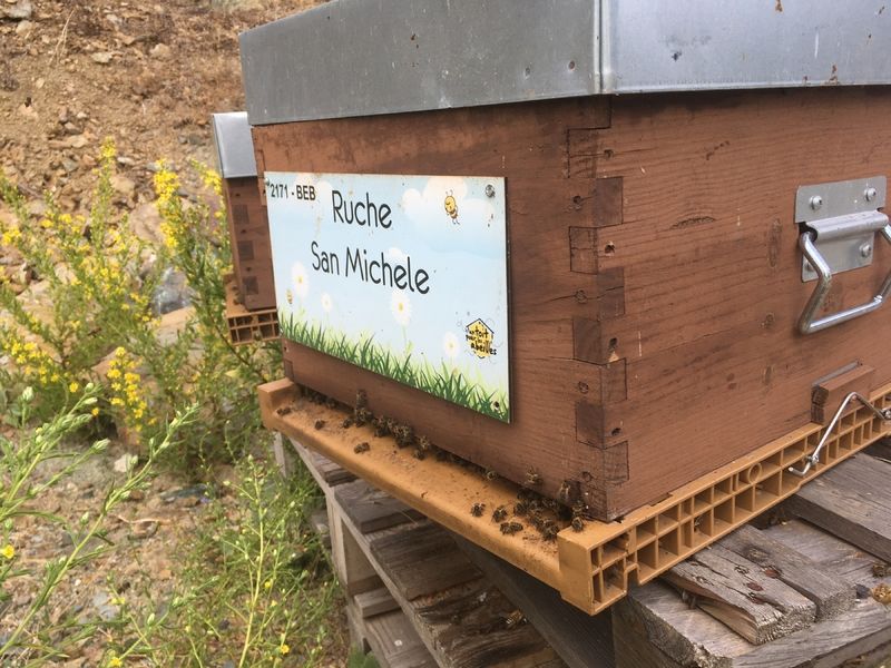 La ruche San Michele