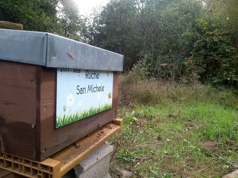 La ruche San Michele