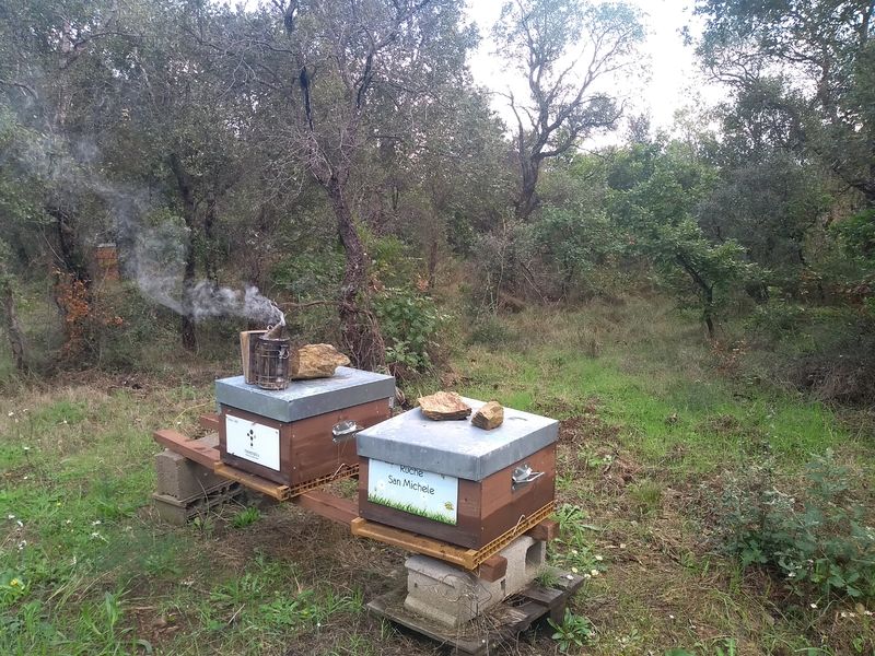 La ruche San Michele