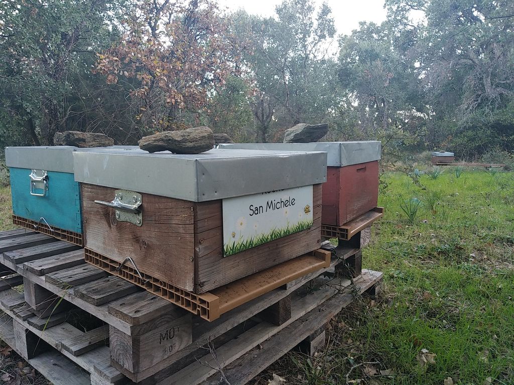 La ruche San Michele