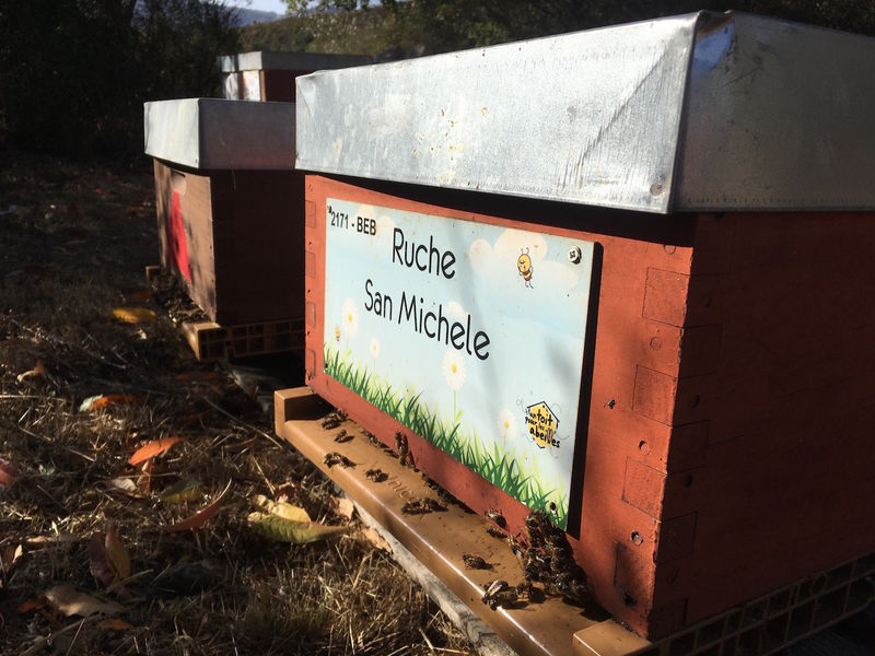 La ruche San Michele