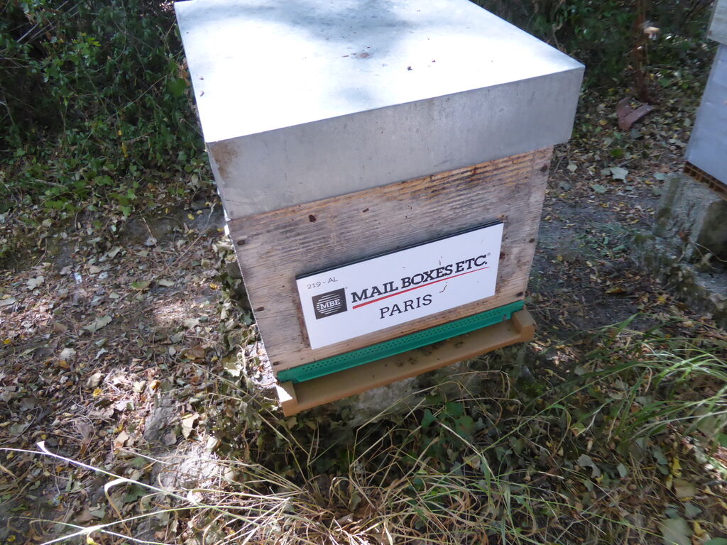 La ruche Lt mail services