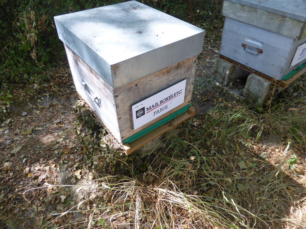 La ruche Lt mail services