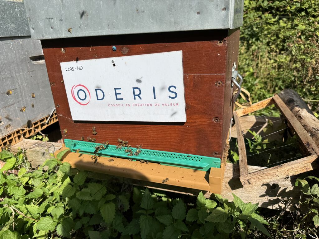 La ruche ODERIS