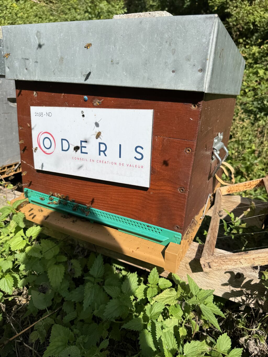 La ruche ODERIS