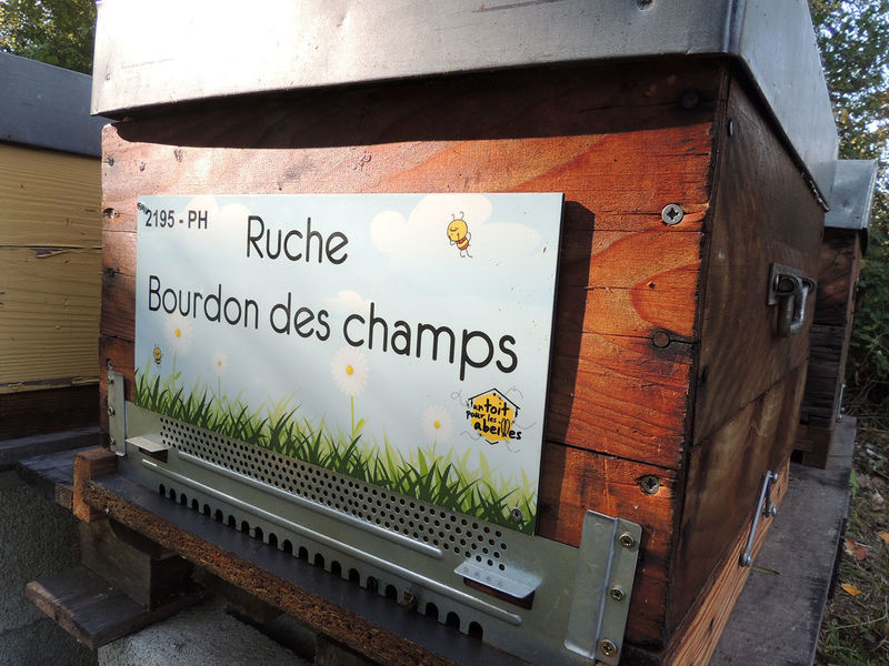 La ruche Bourdon des champs