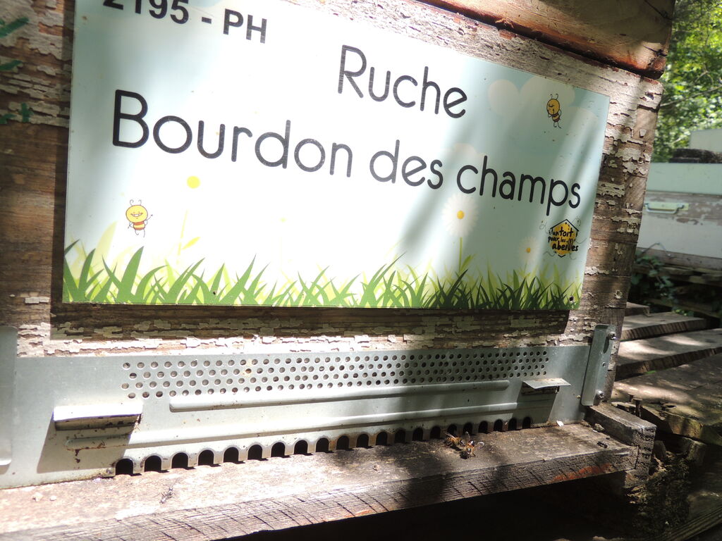 La ruche Bourdon des champs