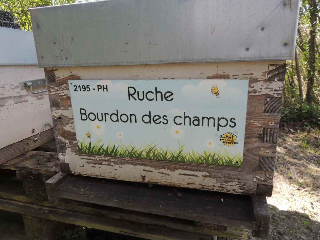 La ruche Bourdon des champs