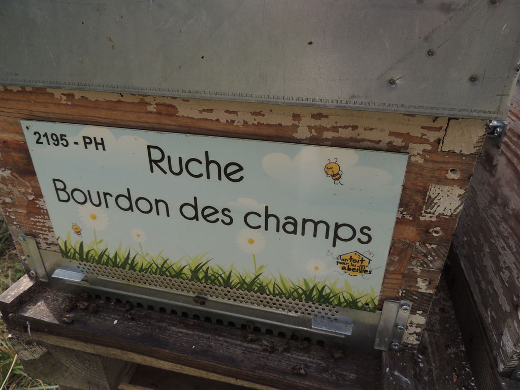 La ruche Bourdon des champs