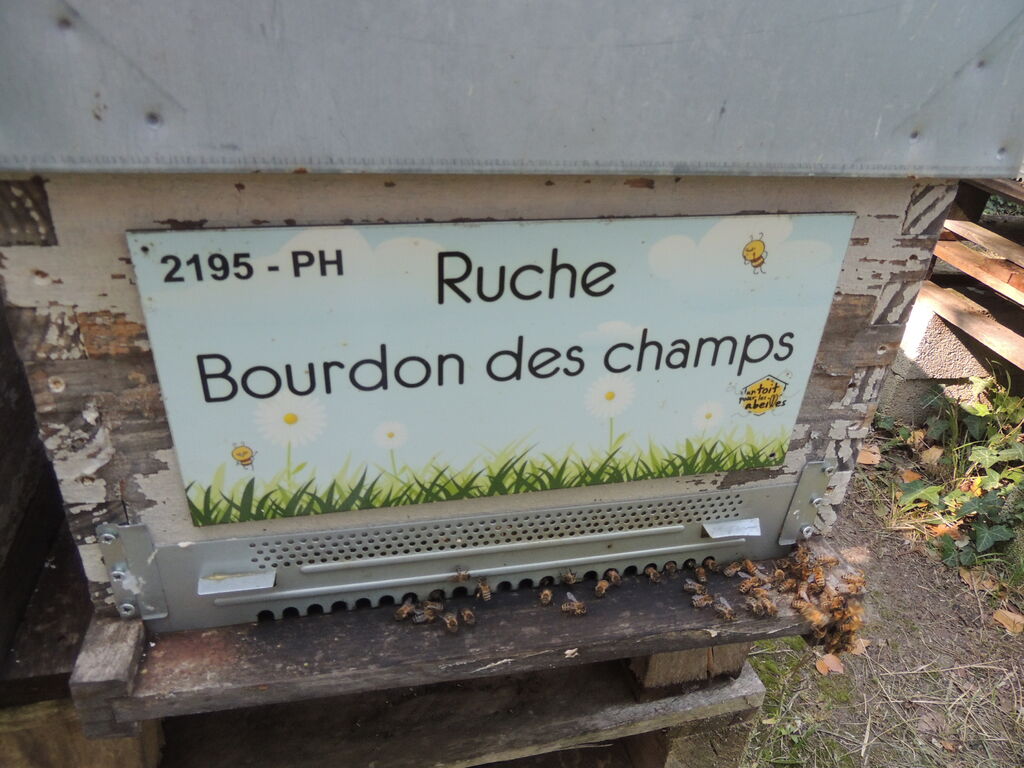 La ruche Bourdon des champs