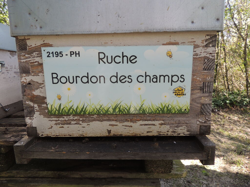 La ruche Bourdon des champs