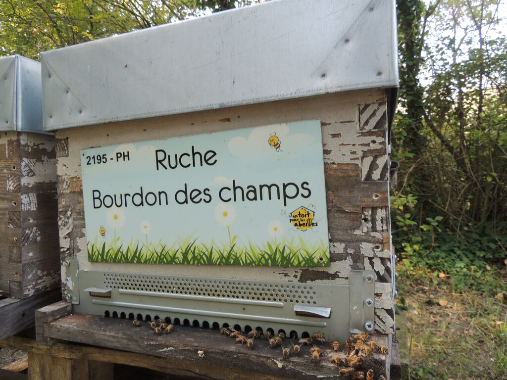 La ruche Bourdon des champs