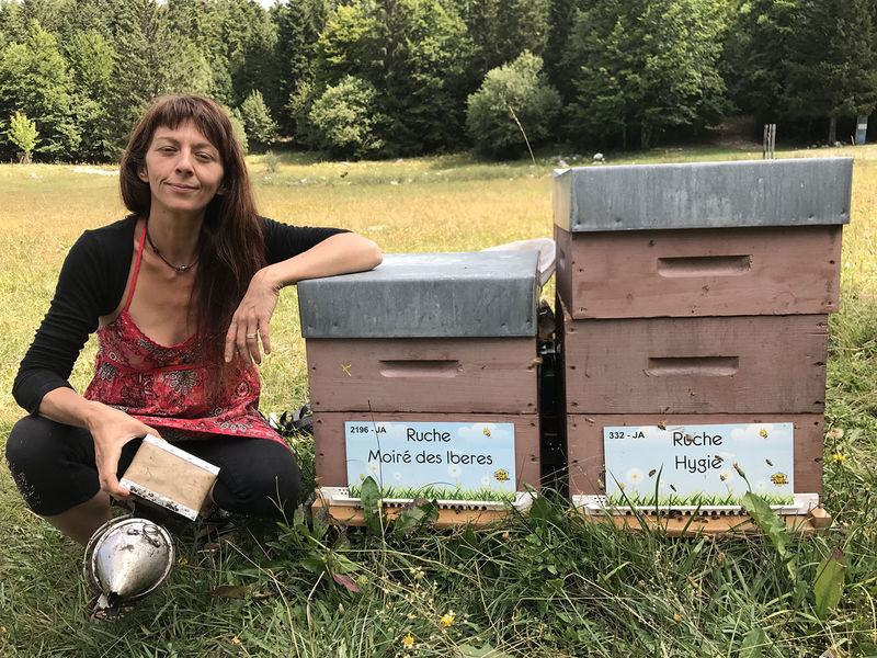 La ruche Moiré des Iberes