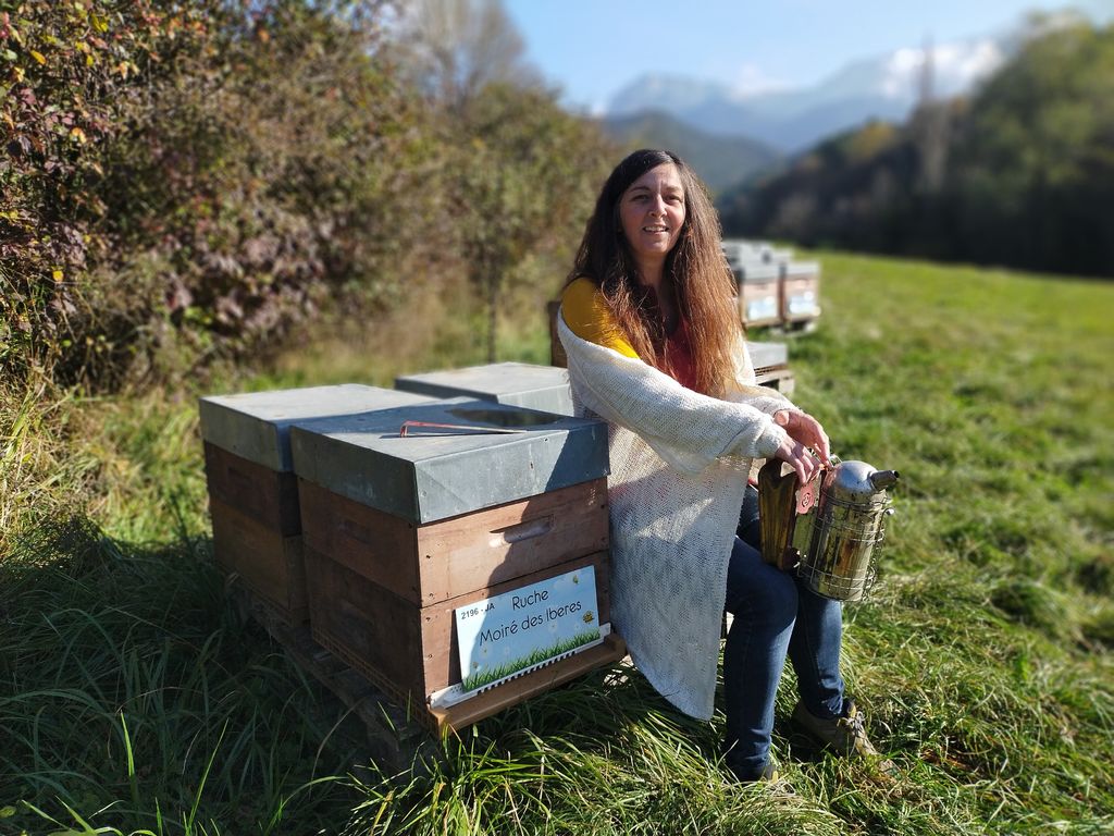 La ruche Moiré des Iberes