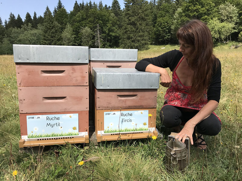 La ruche Myrtil