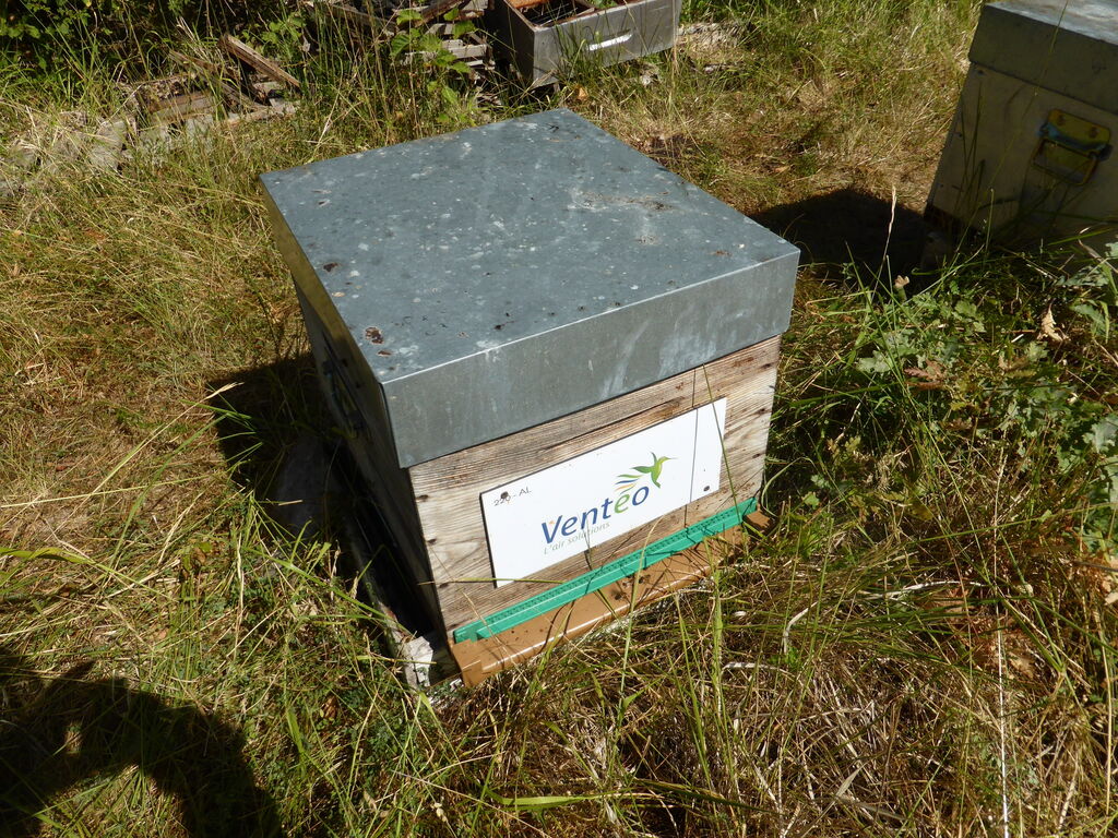 La ruche VENTEO ILE DE FRANCE