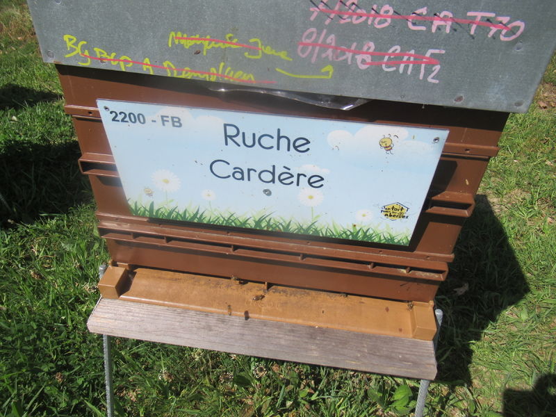 La ruche Cardère
