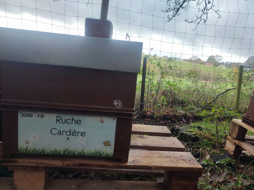 La ruche Cardère