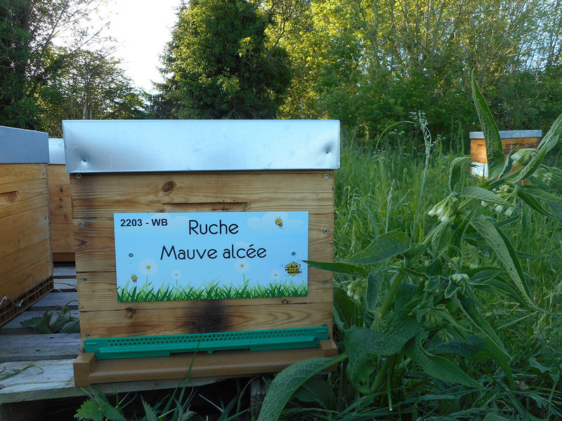 La ruche