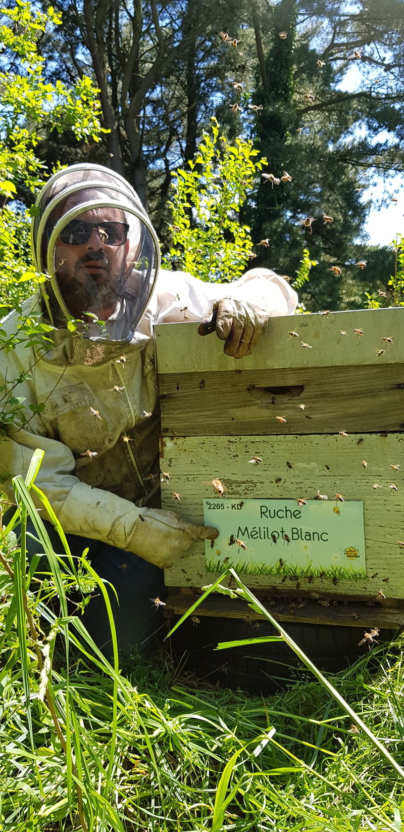 La ruche Mélilot Blanc